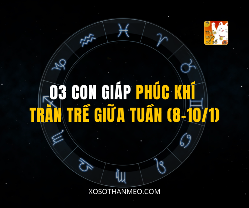 03 CON GIÁP PHÚC KHÍ TRÀN TRỀ GIỮA TUẦN (8-10/1)