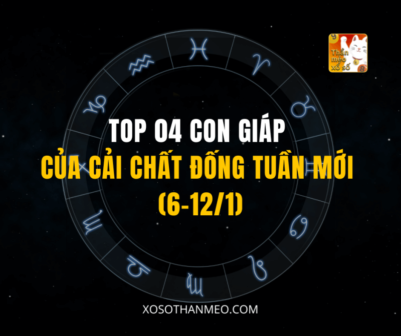 TOP 04 CON GIÁP CỦA CẢI CHẤT ĐỐNG TUẦN MỚI (6-12/1)