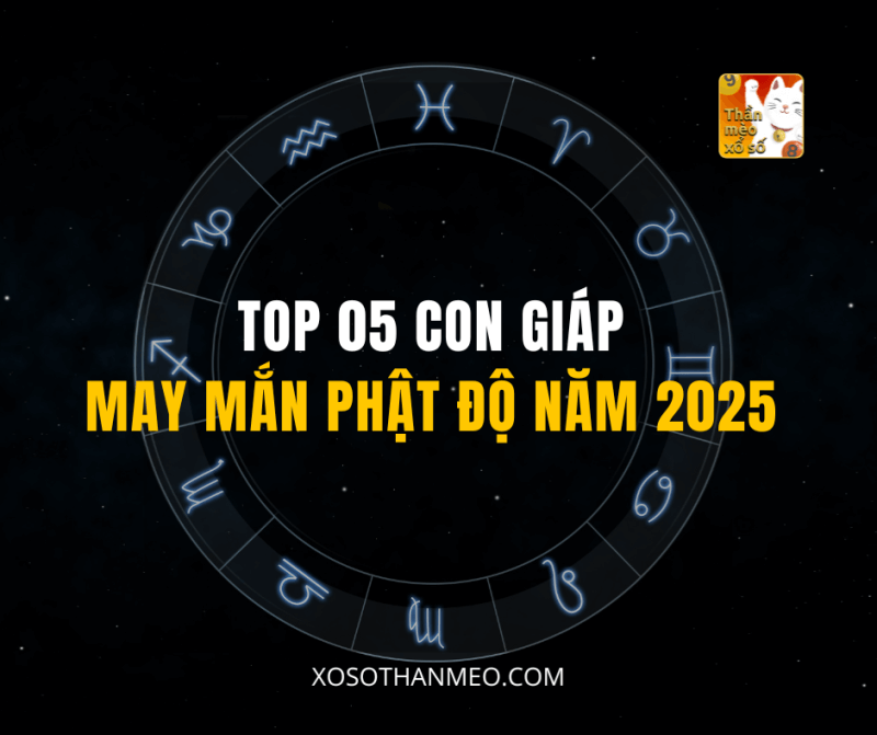 TOP 05 CON GIÁP MAY MẮN PHẬT ĐỘ NĂM 2025